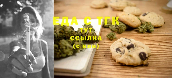 тгк Новозыбков